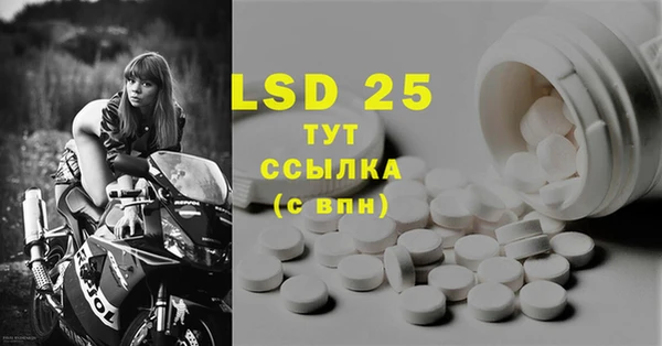 PSILOCYBIN Переславль-Залесский