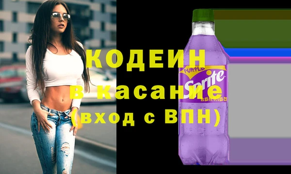 индика Галич