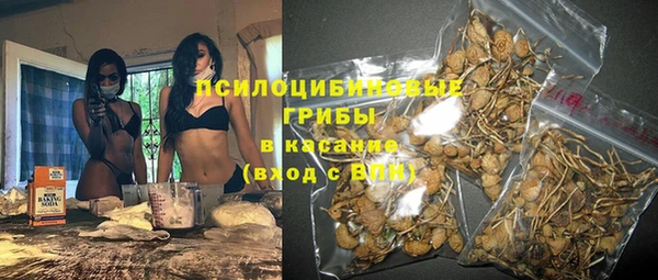 прущий лед Осинники