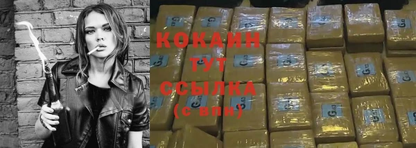 PSILOCYBIN Переславль-Залесский