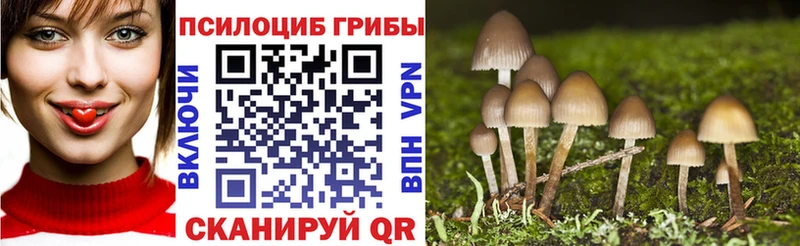 как найти закладки  Саранск  Псилоцибиновые грибы Psilocybe 
