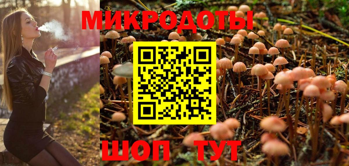 Псилоцибиновые грибы Magic Shrooms  сколько стоит  Псилоцибиновые грибы Psilocybe  Саранск  Вход с VPN 