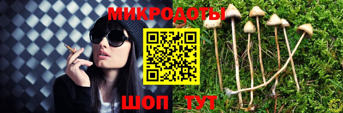 Галлюциногенные грибы мицелий  Саранск 